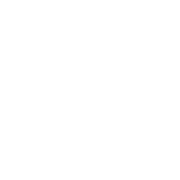 Leroy Merlin Logo