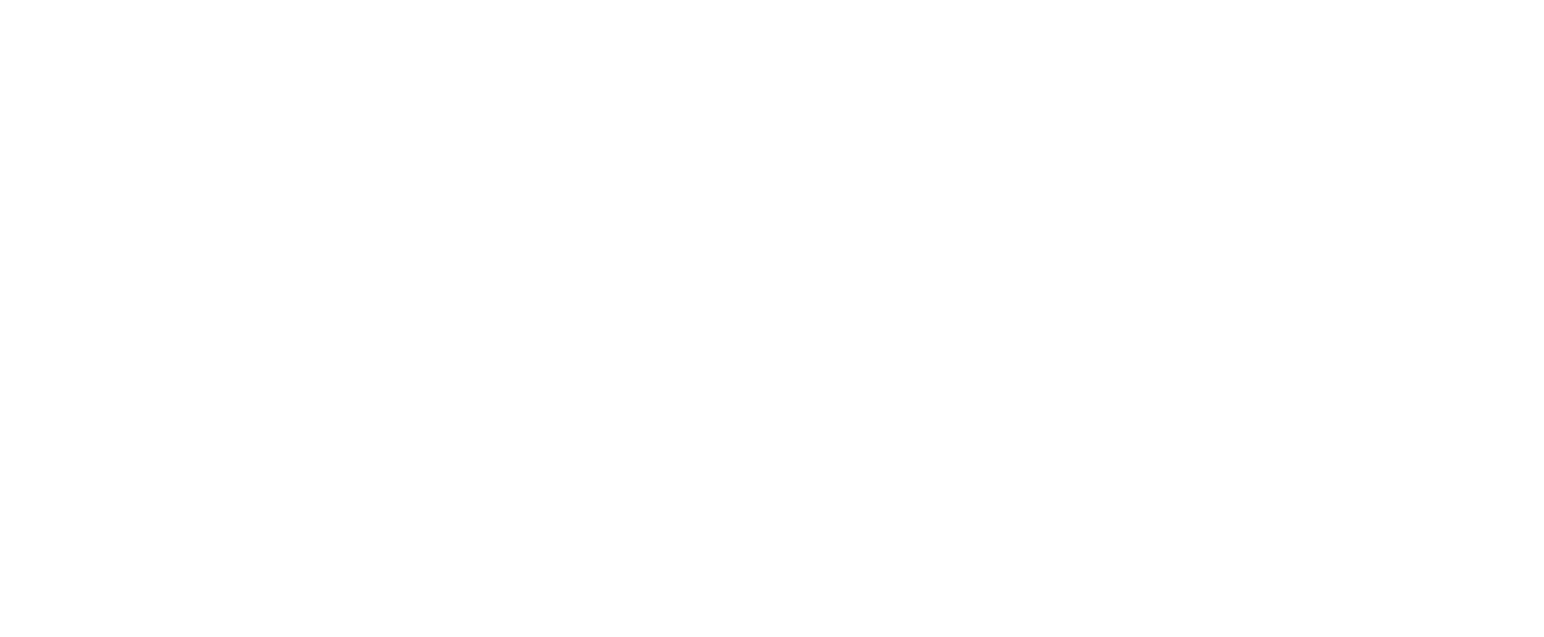 Orange Logo