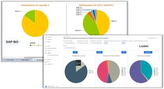 Capture d&rsquo;écran : Pie charts – migrer de SAP BO vers GCP Looker